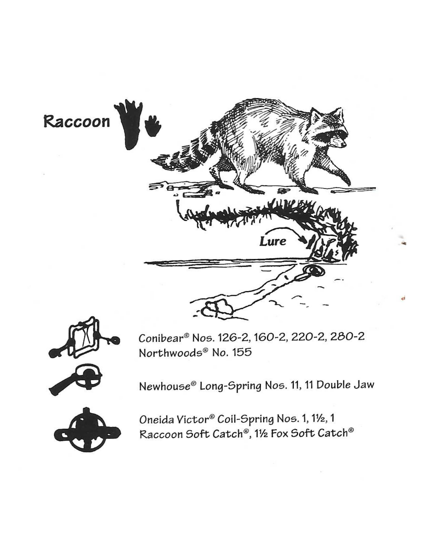 Raccoon Trap